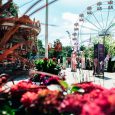 259168 Blomsterfestival Friheden