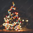 Christmas Tree Lighting Celebraton