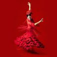 Flamenco Kalendarie